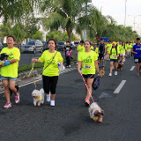 Pet Express Doggie Run 2012 Philippines. Jpg (89).JPG