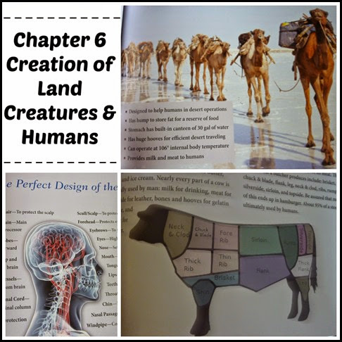 Chapter 6 Chapter 6