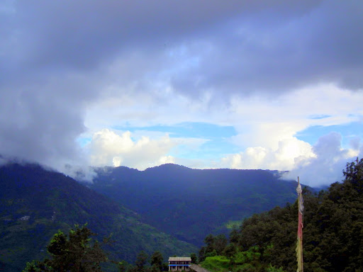Dscf2541