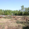 09_viragvasar_168.jpg