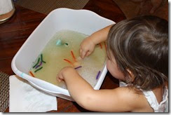 IMG_6118 IMG_6118