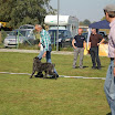 IMG_2922.JPG
