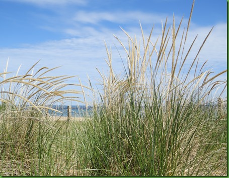 IMG_4760 IMG_4760