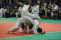 IMG_2633.jpg
