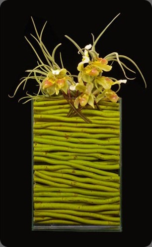 ovando opposites-attract-500