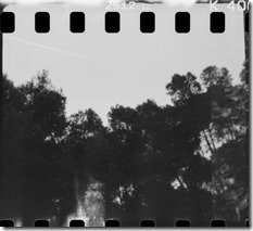 _MG_0627-Editar _MG_0627-Editar