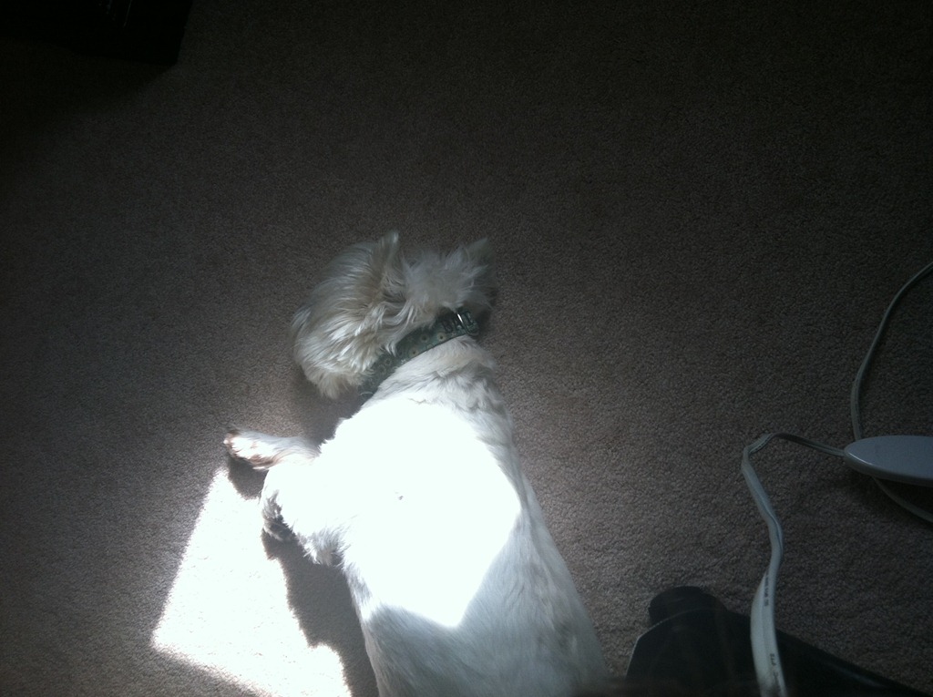 [2012.06.08%2520Sun%255B4%255D.jpg]