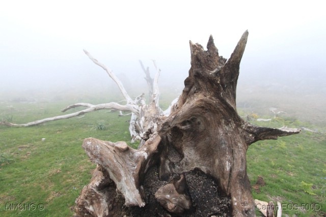 [%255B21%255D_Geres%255B11%255D.jpg]