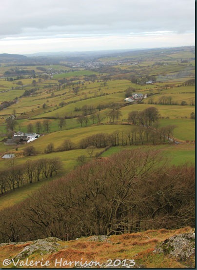 24-view 24-view