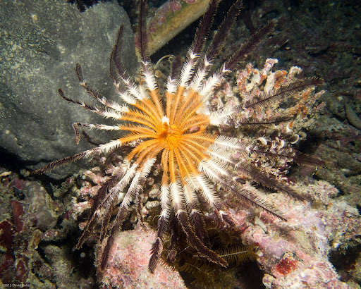 P7034541
