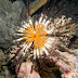 P7034541