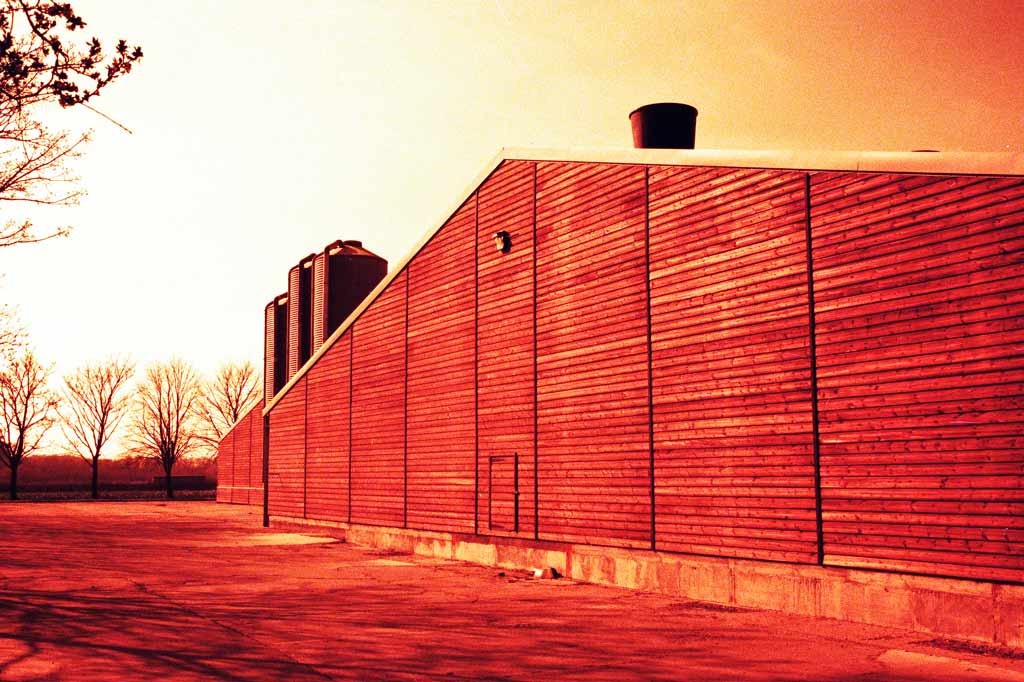 [Farm-Life-10---XPRO%255B3%255D.jpg]