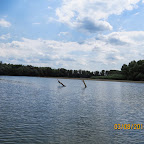 IMG_5556.JPG