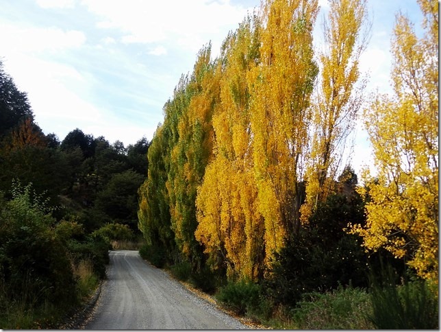 Carretera_Austral_DSC01390