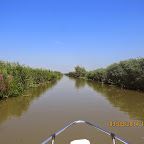 IMG_5743.JPG