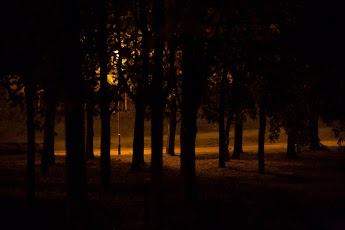 30.8.2013 2013-08-30.jpg
