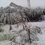 0528_124610.jpg