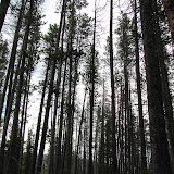 IMG_1137.JPG
