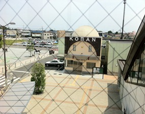 IMG_1311 IMG_1311