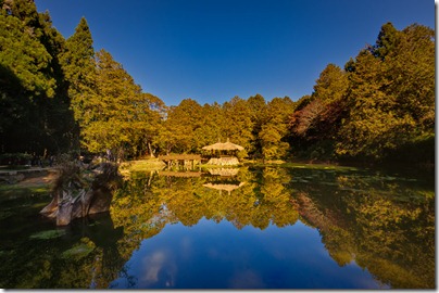 resized_041(1)