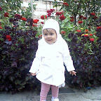 Paun Andrea Isabela