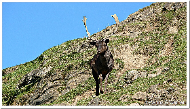 2011_10_30_069_WildparkAurich 2011_10_30_069_WildparkAurich