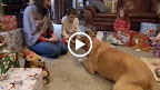 DSCN5751.MOV