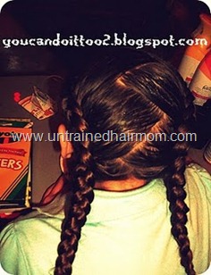 zig zag part french braids manny from degrassi hair 100_1008