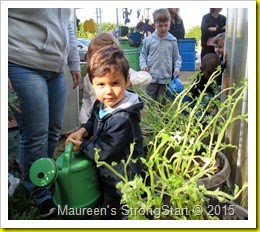 IMG_4992 IMG_4992