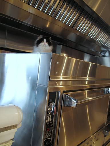 I guess she knows what she's doing since no appliance is turned on.