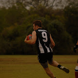 _DS34155.jpg _DS34155.jpg
