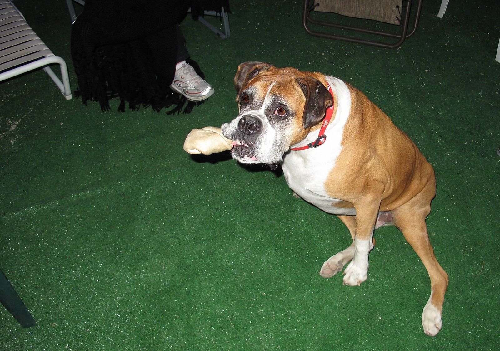 [IMG_2010%255B3%255D.jpg]