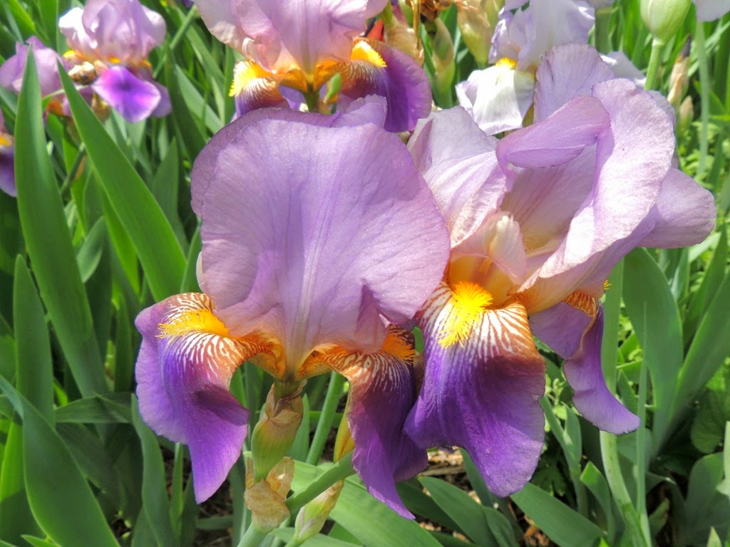 [DSCN8995%255B3%255D.jpg]