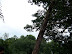 Mt. Vernon In August