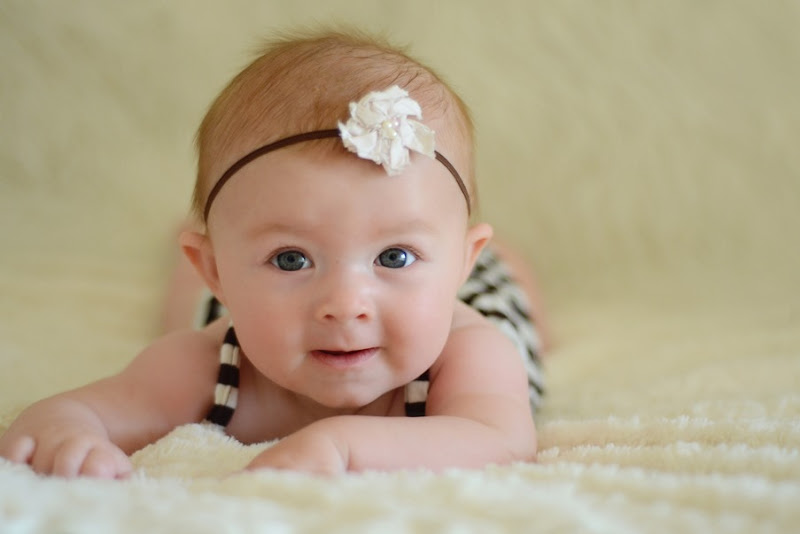 HPP_4740 HPP_4740