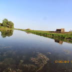 IMG_7870.JPG