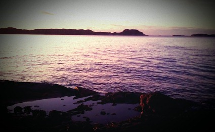 IMAG0221