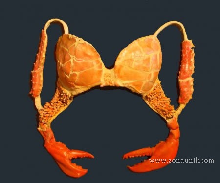 [Kepiting%255B3%255D.jpg]