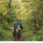 Bainbridge_Trail_2.jpg