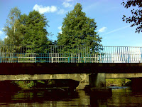 DSC06043.JPG Photo
