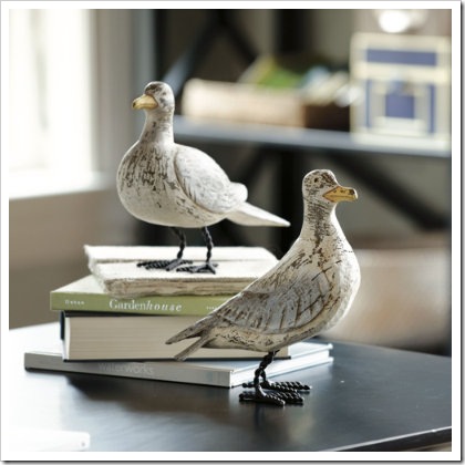 Seagull Seagull