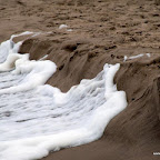 20100827_072_small.JPG