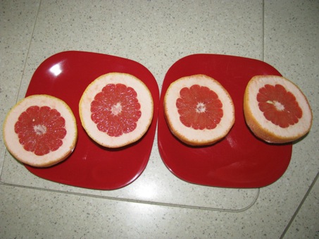 Cheapgrapefruits-2-2012-01-3-18-59.jpg