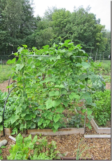 Update_20Aug2011_3 Update_20Aug2011_3