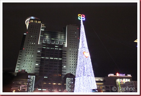 IMG_4458 IMG_4458