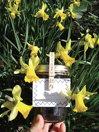 Evan filled jars with dirt, sewed little envelopes with different seeds inside (depending on what each girl liked to eat), attached everything with twine, and clipped on a clothespin that said “will you stand by our side . . . [and then on the back read] on October 24th 2009?”