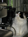 Tang at the Cappuccino Machine