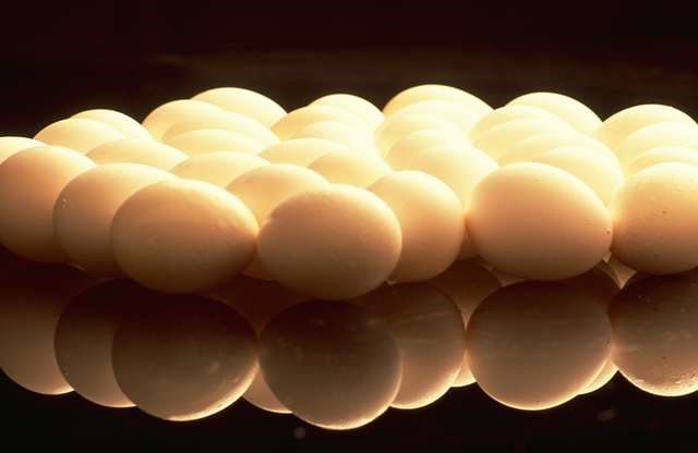 [Eggs%2520are%2520a%2520good%2520source%2520of%2520protein%255B7%255D.jpg]