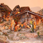 IMG_0879.jpg