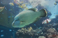 IMG_3013 IMG_3013